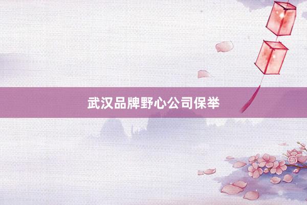 武汉品牌野心公司保举