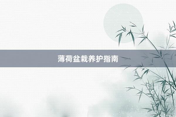 薄荷盆栽养护指南