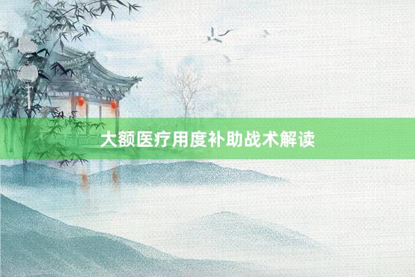 大额医疗用度补助战术解读