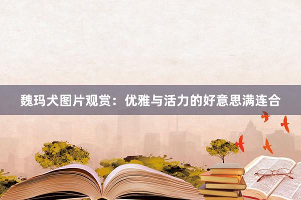 魏玛犬图片观赏:优雅与活力的好意思满连合
