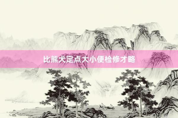 比熊犬定点大小便检修才略