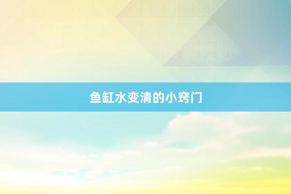 鱼缸水变清的小窍门