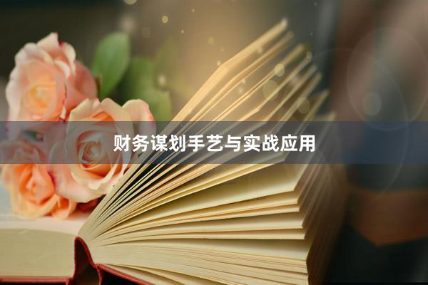 财务谋划手艺与实战应用